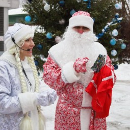  Новогодние каникулы в Ленинградском зоопарке 2017