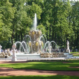 Концерт «Классика в летнем саду»