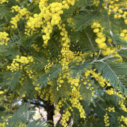 Интересные события в Санкт-Петербурге в выходные с 6 по 9 марта 2026