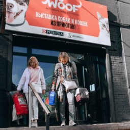 Благотворительный фестиваль «Woof» в Санкт-Петербурге 2022