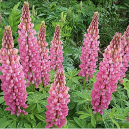 Фотовыставка «Россия  —  место силы»