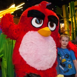 Первоклассный день в в Angry Birds Activity Park