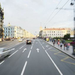 Бесплатные образовательные лекции на острове Новая Голландия 