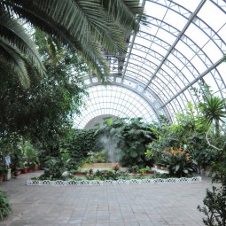Оранжерея Таврического сада
