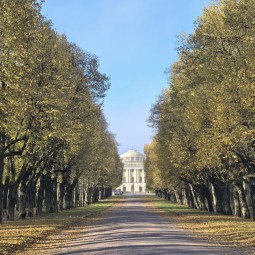 Интересные события в Санкт-Петербурге в выходные 31 октября и 1 ноября 2026