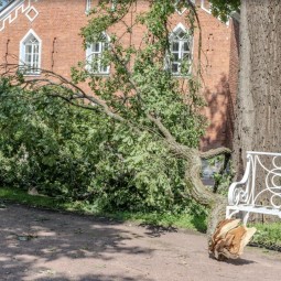 Последствия урагана в музее-заповеднике «Царское Село»
