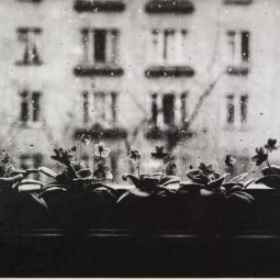 Цикл лекций «Петербургская фотография конца ХХ — начала ХХI века в лицах»