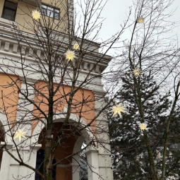 Топ-10 интересных событий в Санкт-Петербурге в выходные 18 и 19 января 2025