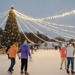 Большой каток на Елагином остове сезон 2025/26