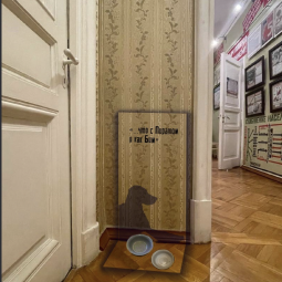 Выставка «В нашей квартире собаки и кот: питомцы С.М. Кирова»