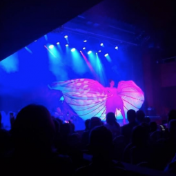 Шоу Театра будущего «Тайна зеркальных иллюзий»