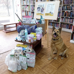 Акция «Поддержи хвостатых» в библиотеках Фрунзенского района 2026