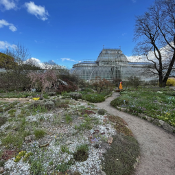 Фестиваль «Тайны Весеннего королевства-2026» 