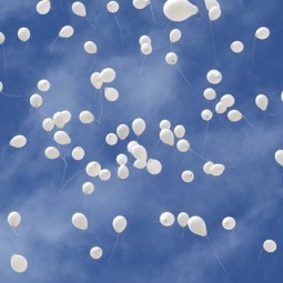 Акция «Небо над Ленинградом 2.0» 