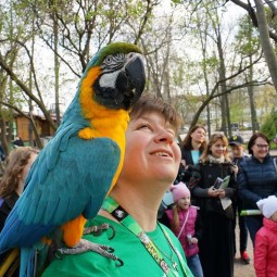 День Рождения Ленинградского зоопарка 