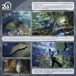 Выставка «20-летие Океанариума»