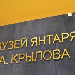 Музея янтаря Александра Крылова