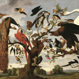 Выставочный проект «Класс зверей и птиц, цветов и плодов. Академические классы XVIII века»