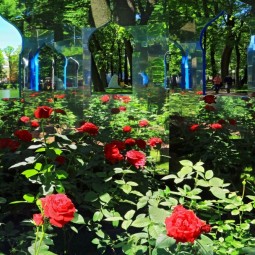 Фестиваль «Императорские сады России» 2017
