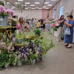 Фестиваль «Пионы Северной столицы»