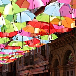 Фотовыставка «Цветной Петербург»