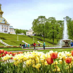 Автобусная экскурсия в Петергоф c билетами в Большой дворец 2024