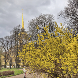Интересные события на майские праздники в Санкт-Петербурге 2026