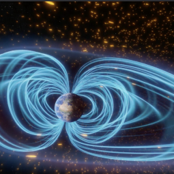 Всей семьёй в Планетарий №1 Санкт-Петербурга