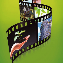 VIII Всероссийский экологический кинофестиваль «Меридиан надежды»
