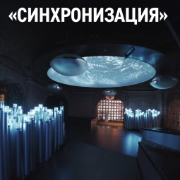 Выставка «Синхронизация»