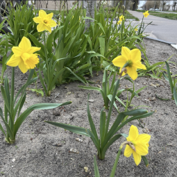 Интересные события в Санкт-Петербурге в выходные 25 и 26 апреля 2026