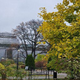 Осенние каникулы в Ботаническом саду Петра Великого 2022