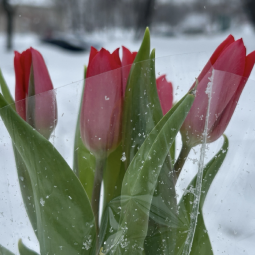 Подборка интересных событий в Санкт-Петербурге в выходные 14 и 15 марта 2026