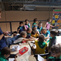 Детский лагерь полного дня «Летний научный клуб» 
