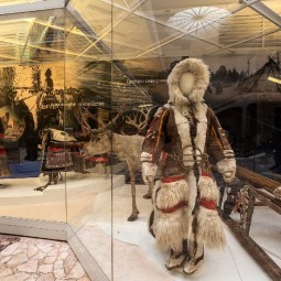Выставка «Арктика – земля обитаемая»