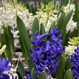 Интересные события в Санкт-Петербурге в выходные 21 и 22 марта 2026