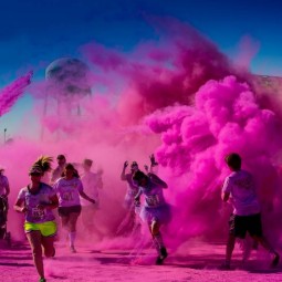Красочный забег ColorsGO 2019