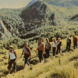 Выставочный проект «Лицевая сторона. Цветная фотооткрытка в СССР 1950–1970-х годов»