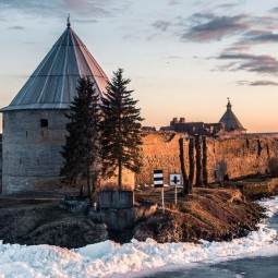 Фестиваль «ЭкоДни на Садовой» 2021