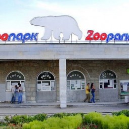 Ленинградский Зоопарк