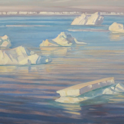 Выставка «43 дня в Арктике»