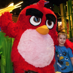 Скидка на посещение Angry Birds Activity Park