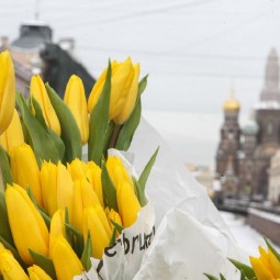 Топ-15 интересных событий в Санкт-Петербурге на выходные 10 и 11 апреля 2021