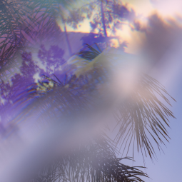 Выставка «Нерассказанные истории» Ольги Нефф