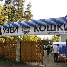  Арт-пикник и День дарения в музее Кошки 2017