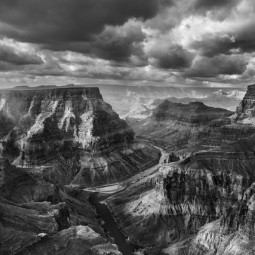 Выставка фотографий из проекта «Генезис»