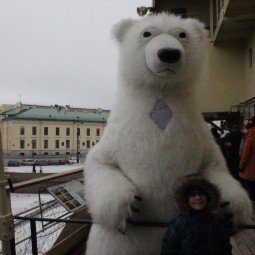 День Белого медведя на ледоколе Красин 