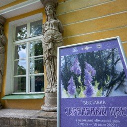 Выставка «Сиреневый цвет» в Екатерининском парке