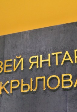 Музея янтаря Александра Крылова