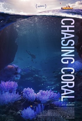 В поисках кораллов